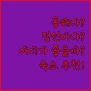 숲속모텔 | 동해 vs 정선 숙소 추천 갤러리HAUS, 애슈리모텔, 숲속의아침펜션 솔직 후기!