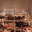 토종닭농장 이미지