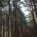 세방전기 - 강진군 삼일로 52 | 세방전기