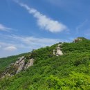 인현목장 이미지