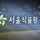 화목사 | 2026.02.03 (화) 뮤지컬 <비틀쥬스> 후기