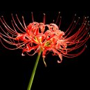 곰소농장 이미지