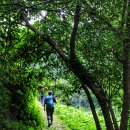 백일홍 민박집 이미지