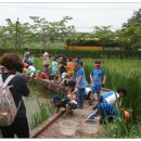 대지초등학교 이미지