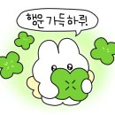 로드락비어(대전괴정점)