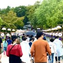 신나는 오감만족 역사여행 | 가을의 충남을 거닐다: 오감만족 축제 여행