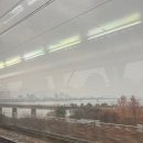 오대산식당(본점) | 막내 생일 주간 평창 2박 3일 완조니 한적함