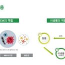 EM환경시스템