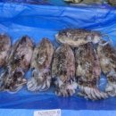 포시즌식자재마트(발산) 이미지