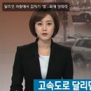 달리던 차량에서 갑자기 '펑'…화재 잇따라 이미지