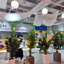 엉클푸드 이미지