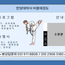 한양대박사비룡태권도 이미지