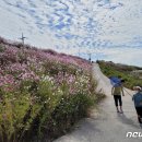 만경강길 7코스 뉴스1