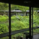 오설록 | 제주 오설록 티뮤지엄 후기, 산양큰엉곶과 함께 가기 좋은 서쪽 여행 코스