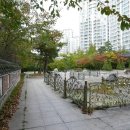 용인동백우체국 이미지