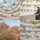 피카소파크 | 뉴욕 구겐하임 미술관 센트럴파크 볼거리 가볼만한곳