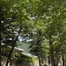 럭키카정비 이미지