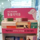 시네마약국 이미지