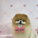 릴리줄리살롱 이미지