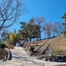 함안 영동리 회화나무 | 유산 방문하기 (&#39;가야 문명의 길&#39; 함안)[함안 말이산 고분군/함안 영동리 회화나무/함안 무기리 주씨고가 ]