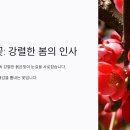 모과헤어 이미지