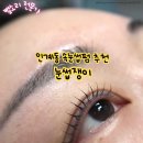 눈썹쟁이 | 수원시청역 속눈썹펌 맛집 눈썹쟁이 후기