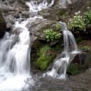 포에버팬션 이미지