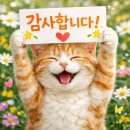 또올집