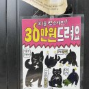 누가 뚝섬역 근처에서 고양이 잃어버렷대 이미지