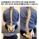 남자들이 디스크 터지는 이유?? 이미지