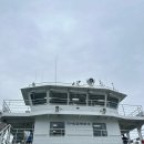 숙이네민박 | 인천 굴업도 배편 직항 정보 가을여행 숙이네펜션