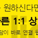 대광 태양광발전소 이미지