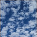 서귀포시청 제1청사 본관 이미지