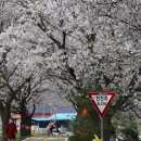 웅희농장 이미지