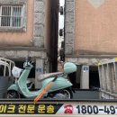 베스파게러지