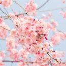 서초협동조합 이미지