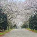 서광리-26 이미지