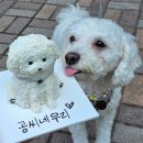 케이코야 이미지