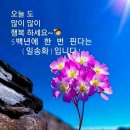 6,8(목).간추린 News 이미지