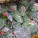 대덕농협(하나로마트) 이미지