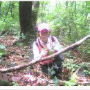 만원에행복 이미지