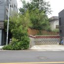 성주 예산리 배리댁 이미지