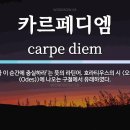 ”카르페 디엠“(carpe diem), 지금을 즐겨라!“ 이미지