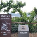 달빛쌈지공원 이미지