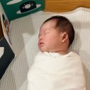 VIP | 인천 논현 더리아산후조리원 6층 VIP 후기