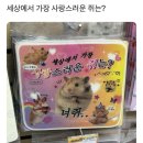 동그마니 이미지