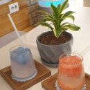 혁스코인노래방 이미지