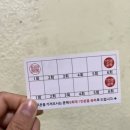 미자애견 이미지