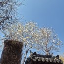 해성사 | 내인생 두번째 창원여행🚆