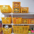 신현초등학교 이미지